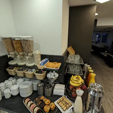 酒店 弗兰克福特埃德尔酒店