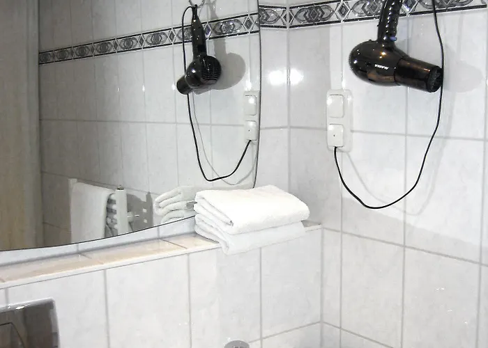 Otel Adler Frankfurt 3*