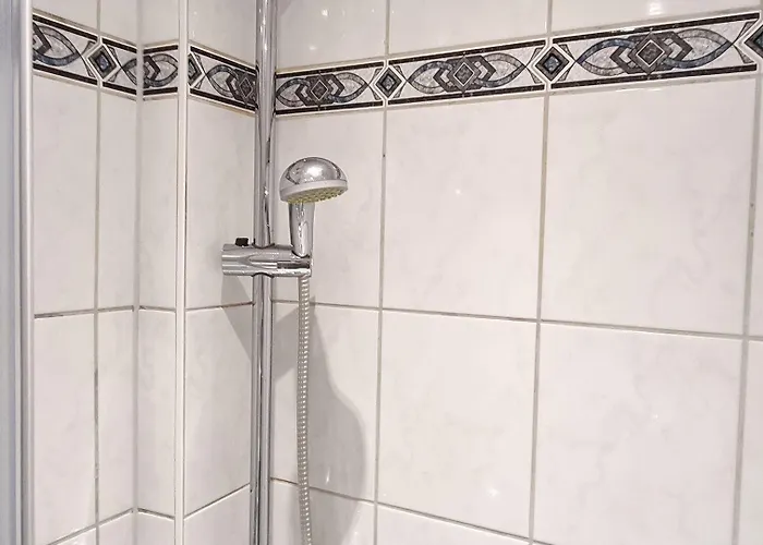 Adler Frankfurt 3* Frankfurt am Main